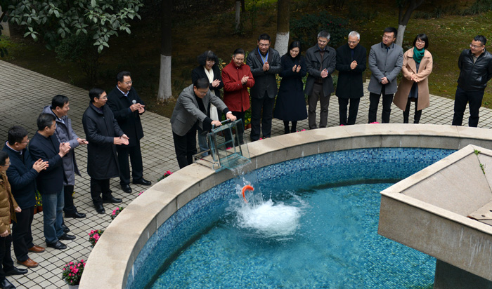 一定发(中国区)官方网站